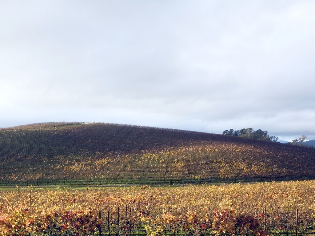 2560px-Bliss_location%2C_Sonoma_Valley_in_2006.jpg