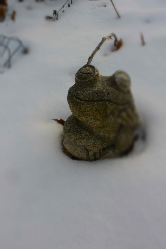 a concrete frog sitting in the snow, smiling